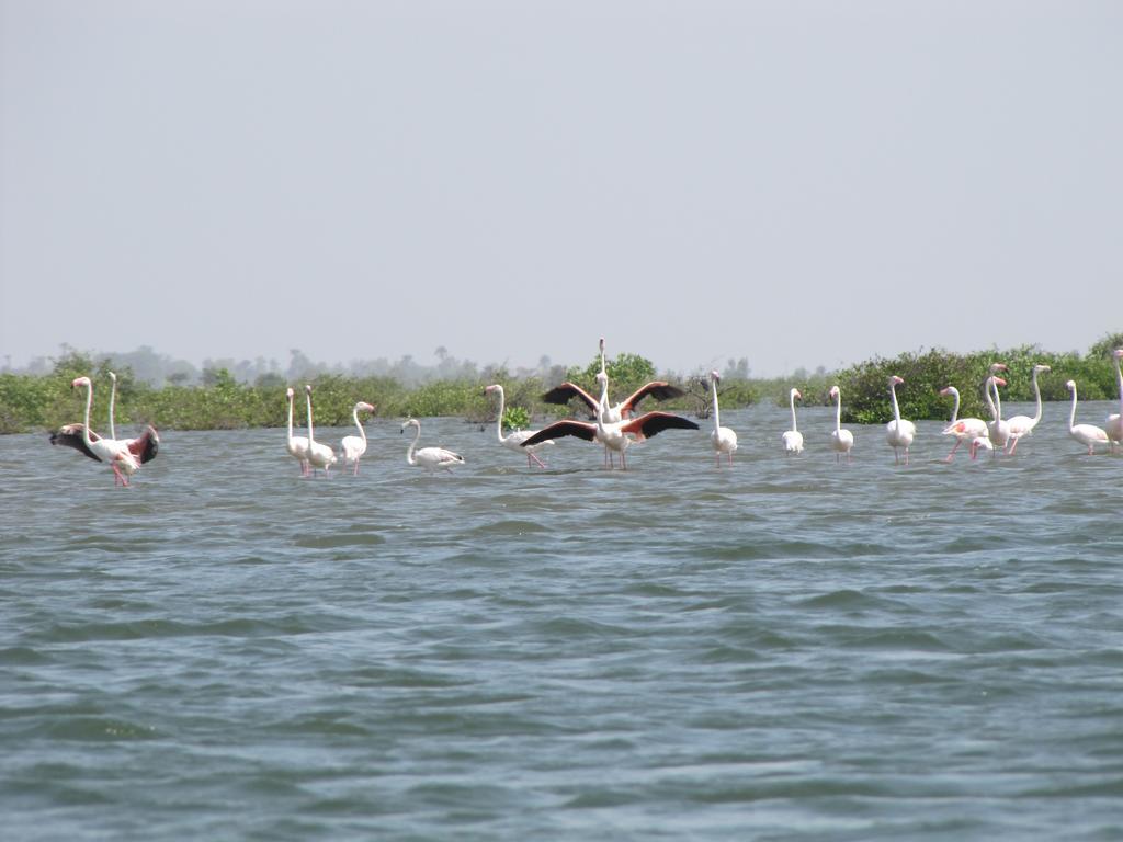 Bazouk Du Saloum Ecolodge Mar Lodj Exterior photo